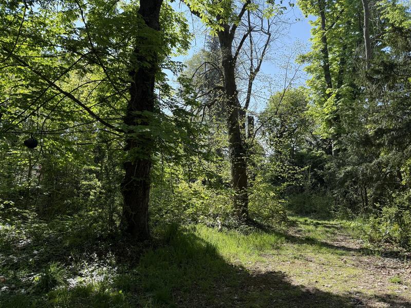 Villa - 320 m² - 9 pièces