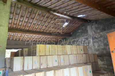 Terrain agricole - 7 745 m²