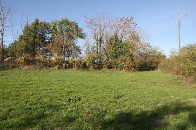 Terrain - 1 600 m²