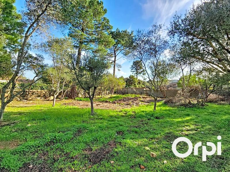 Maison - 208 m² - 6 pièces