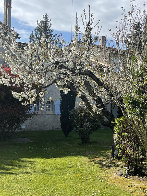 Propriété - 600 m² - 15 pièces