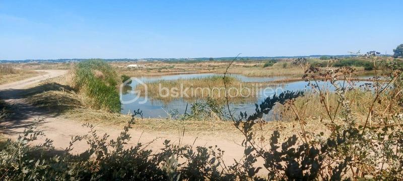 Maison d'architecte - 168 m² - 6 pièces