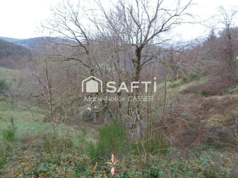 Maison - 340 m² - 5 pièces