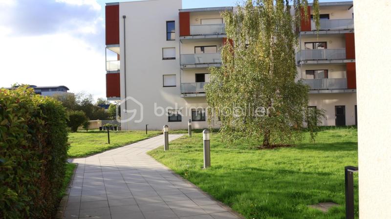 Appartement - 77 m² - 4 pièces