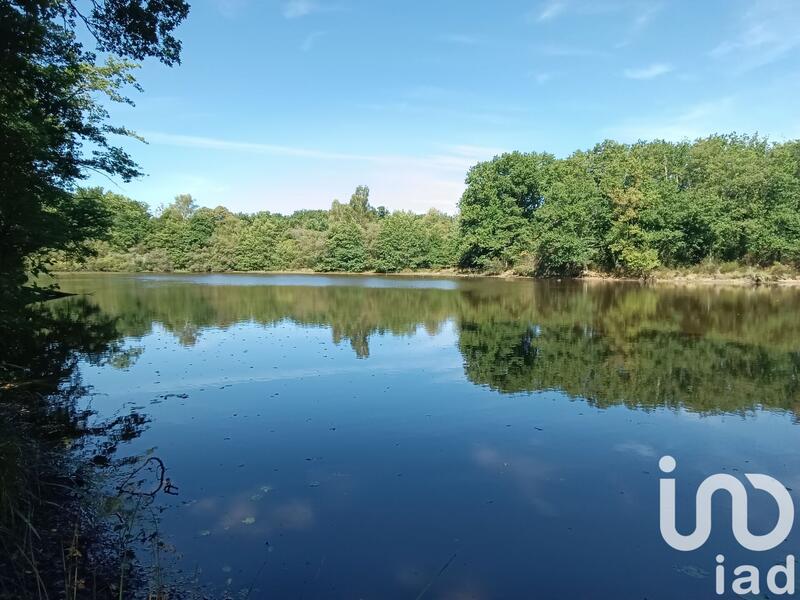 Terrain - 37 398 m²