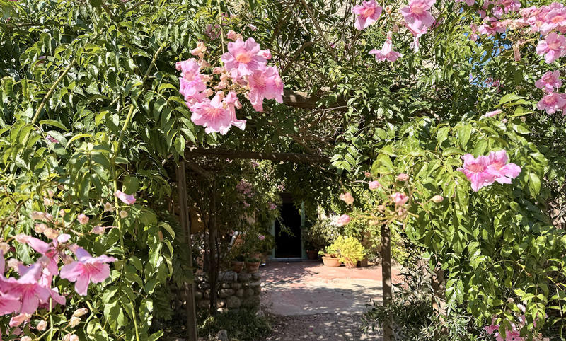 Maison de campagne - 230 m² - 6 pièces