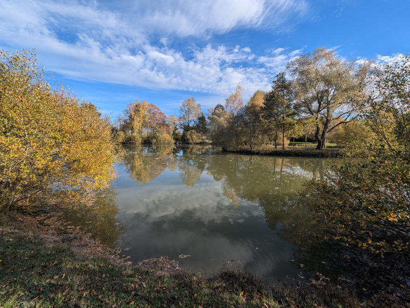 Terrain - 20 387 m²