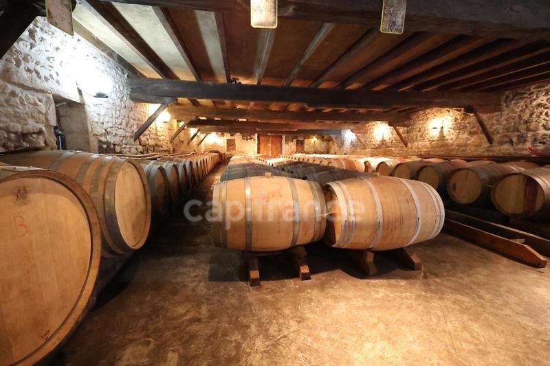 Propriété - 1 357 m² - 12 pièces