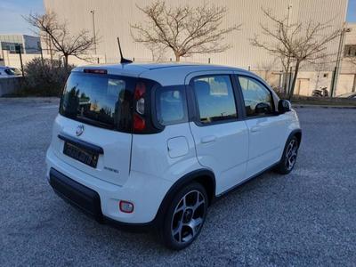 Fiat Panda My21 1.0 70 ch Hybride Bsg s/S Sport