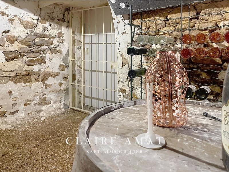 Maison de maîtres - 270 m² - 7 pièces