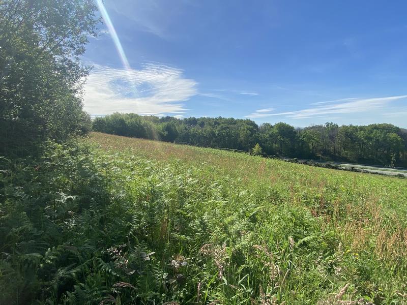 Terrain constructible - 4 916 m²