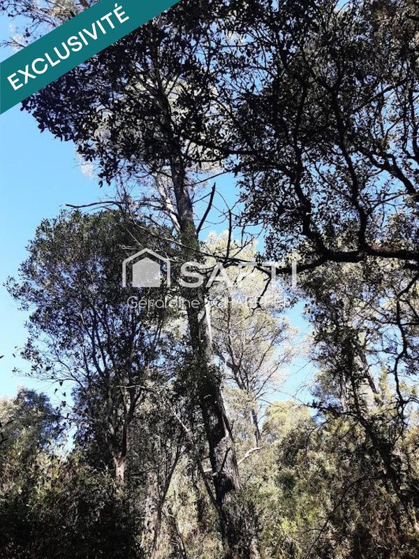 Terrain agricole - 4 470 m²