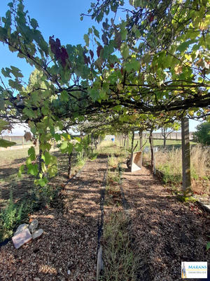 Maison - 132 m² - 5 pièces