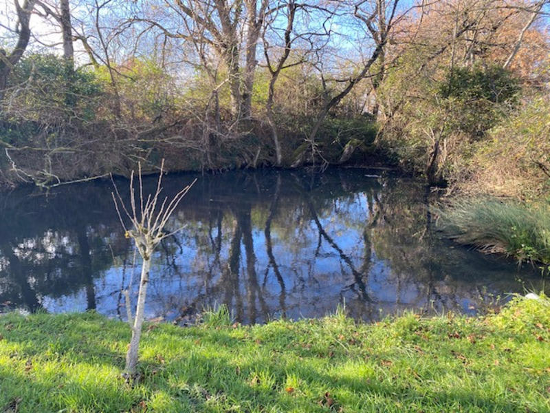 Corps de ferme - 140 m² - 7 pièces