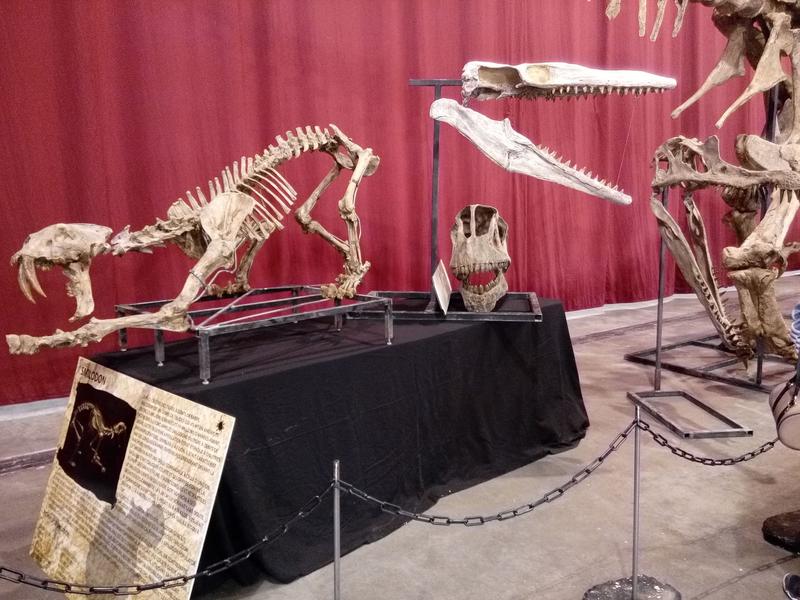 Salon international des minéraux de Martigues