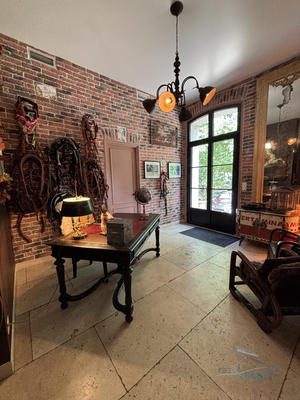 Maison ancienne - 370 m² - 12 pièces