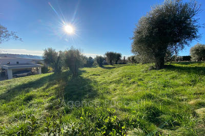 Terrain - 1 002 m²
