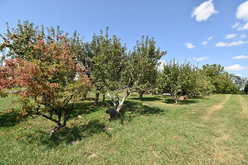 Maison - 159 m² - 6 pièces