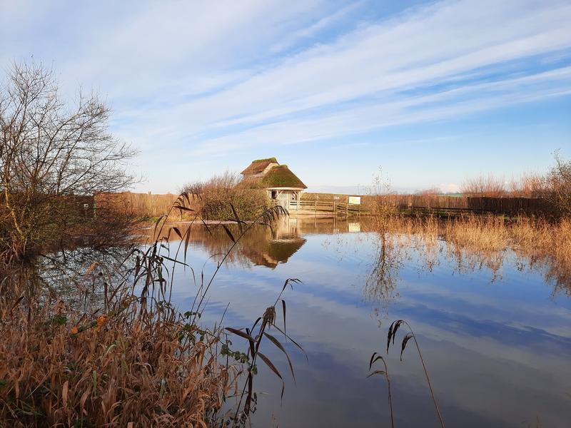 Les zones humides, un patrimoine commun
