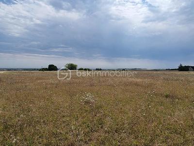 Terrain - 7 973 m²