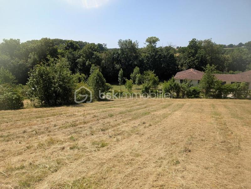 Terrain - 1 594 m²