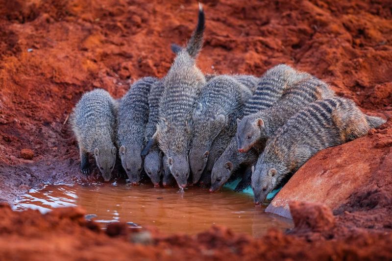Exposition photos - au coeur de l'Afrique - Alexandre et Chloé Bès