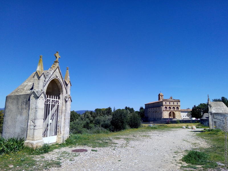 De Pierres et d'Olives : Visite Culturelle de Gignac et Halte Gourmande