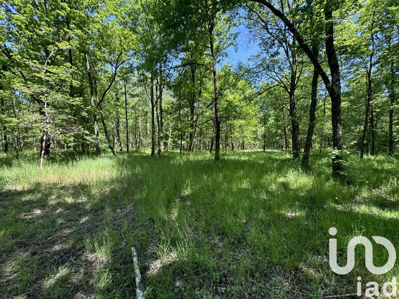 Terrain - 10 000 m²