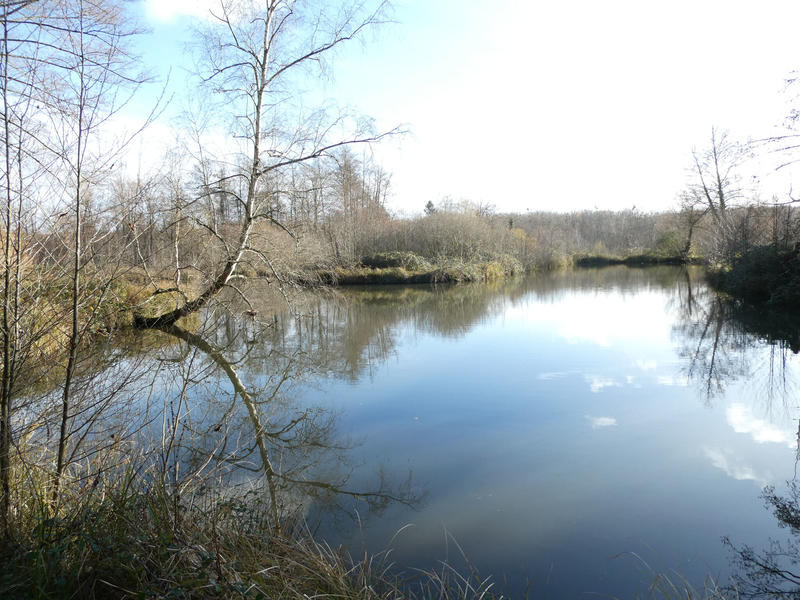 Maison - 138 m² - 5 pièces