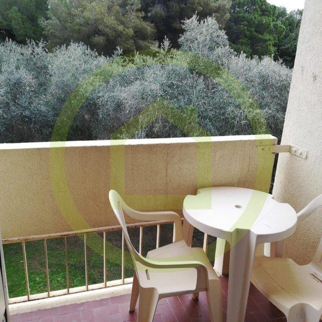 Studio - 19 m² - 1 pièce