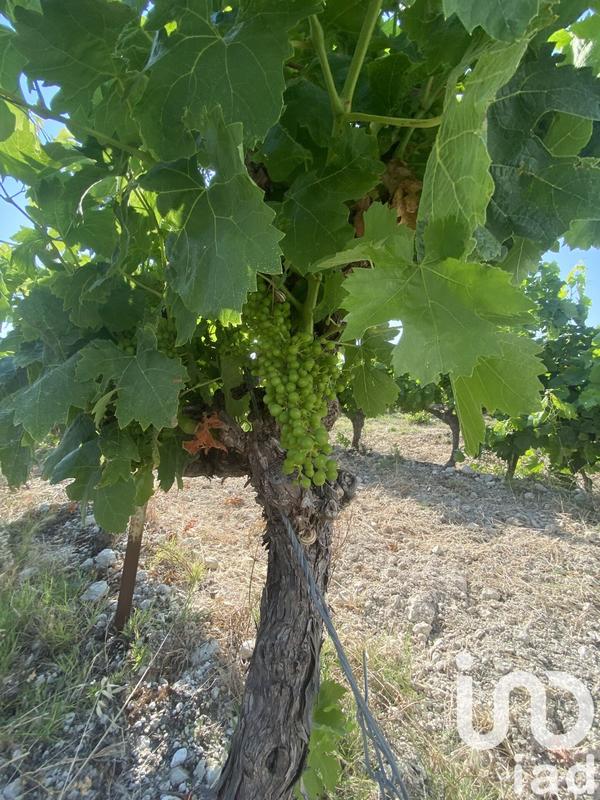 Terrain agricole - 216 211 m²