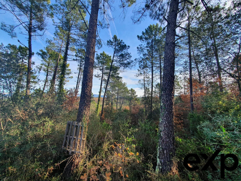 Terrain agricole - 1 300 m²