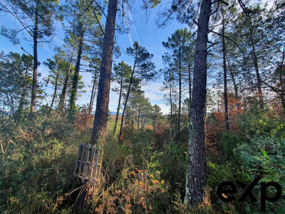 Terrain agricole - 1 300 m²