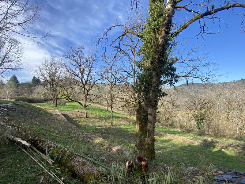 Propriété - 180 m² - 7 pièces