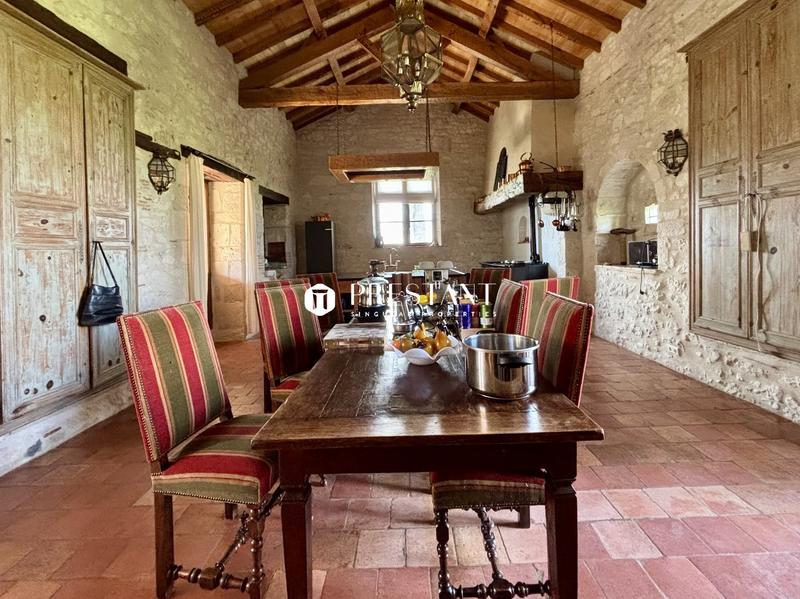 Maison de domaine - 800 m² - 14 pièces