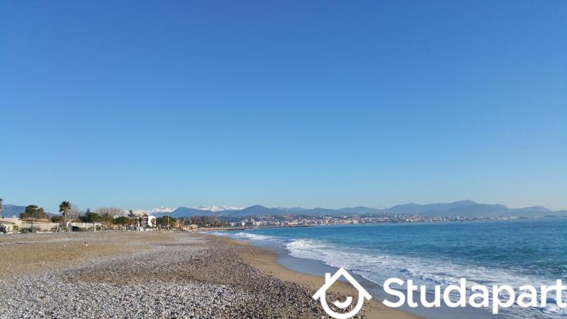 Appartement - 30 m² - 2 pièces