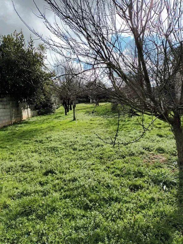 Terrain - 785 m²
