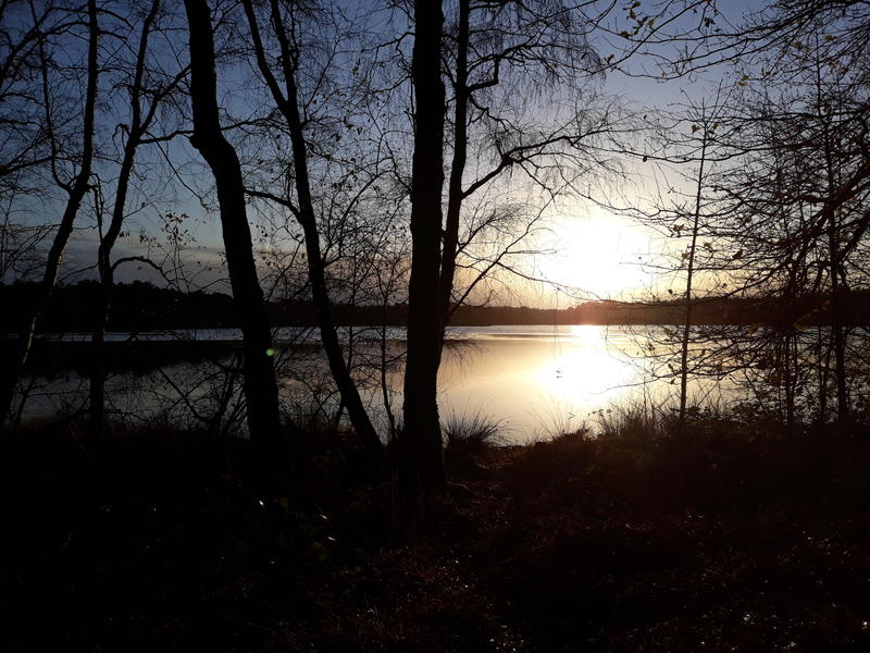 Balade contée sur l'étrange Etang des Lévrys