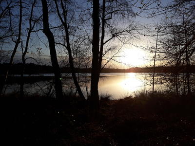 Balade contée sur l'étrange Etang des Lévrys