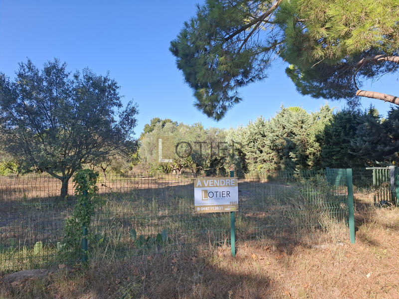 Maison - 220 m² - 7 pièces