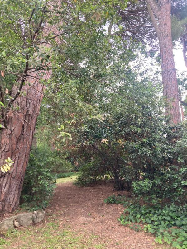 Propriété - 260 m² - 9 pièces