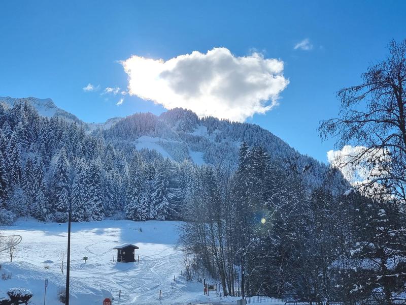 Appartement - 29 m² - 1 pièce