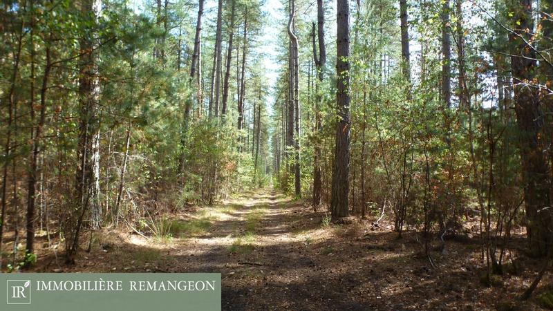 Demeure - 460 m² - 10 pièces