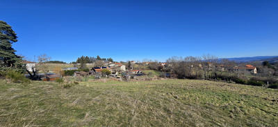Terrain - 5 975 m²