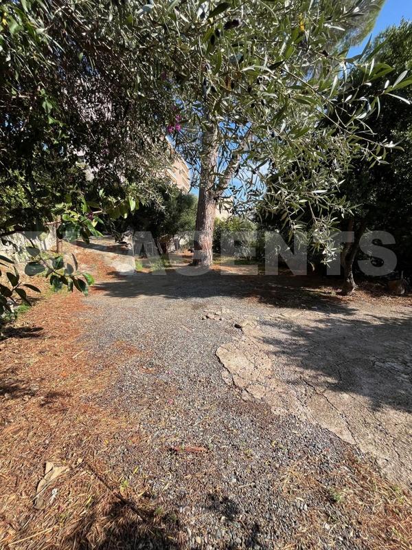 Maison traditionnelle - 220 m² - 12 pièces