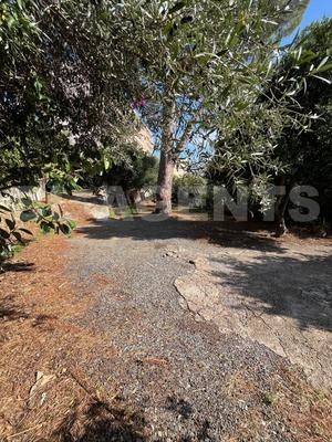 Maison traditionnelle - 220 m² - 12 pièces