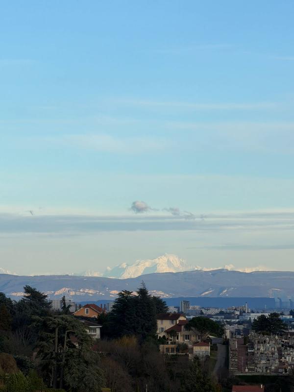 Appartement - 46 m² - 2 pièces