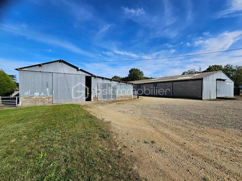 Terrain - 200 000 m²