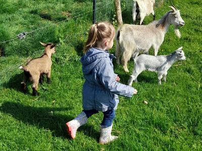 La magie de Noël s'installe à la ferme