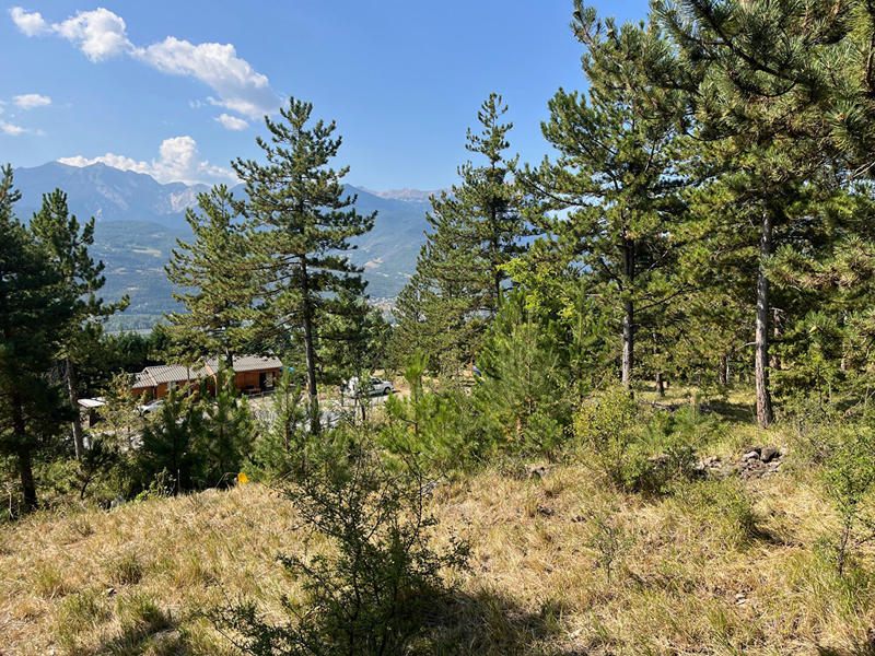 Terrain - 1 502 m²